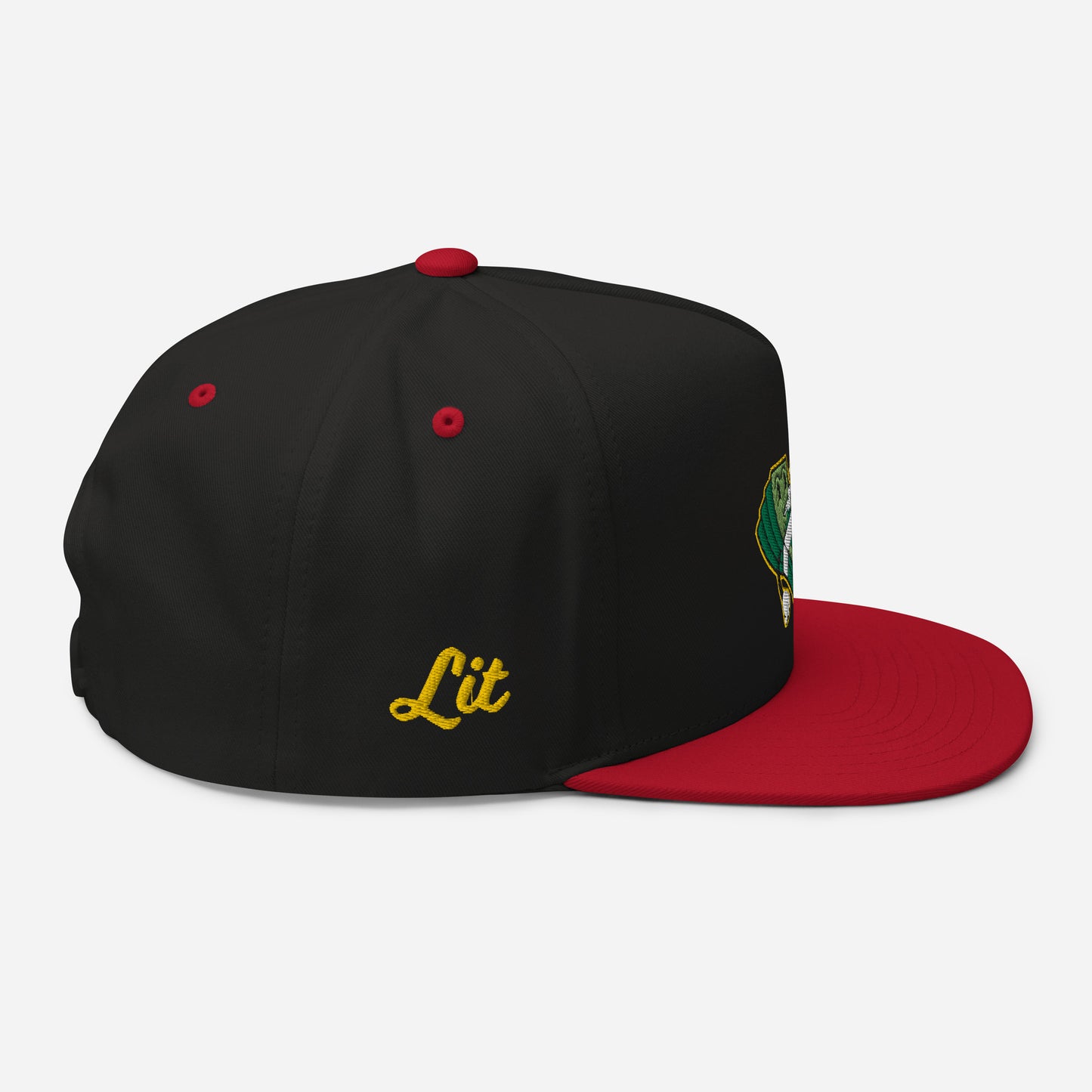 Lit and Rich Cash Smoke Flat Bill Cap Hat