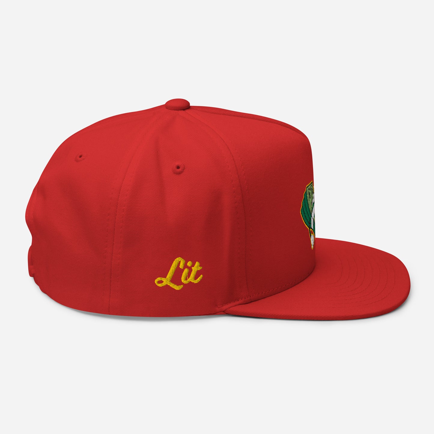 Lit and Rich Cash Smoke Flat Bill Cap Hat