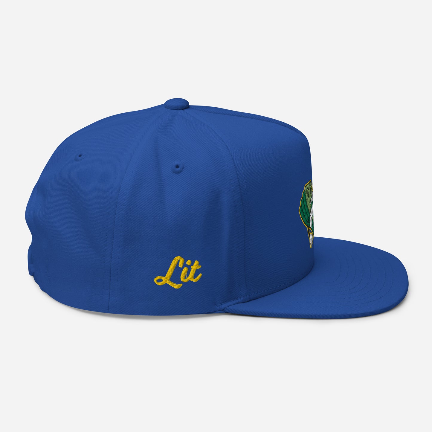 Lit and Rich Cash Smoke Flat Bill Cap Hat