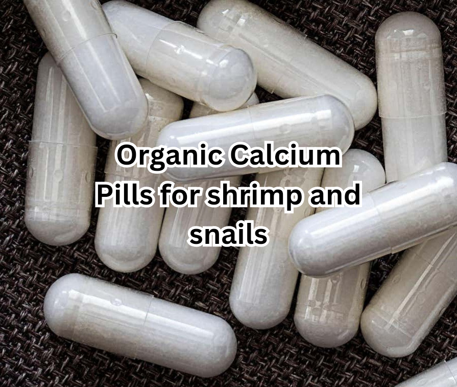 50 Organic Calcium Pills For Aquarium Fish, Snails, Shrimp etc.