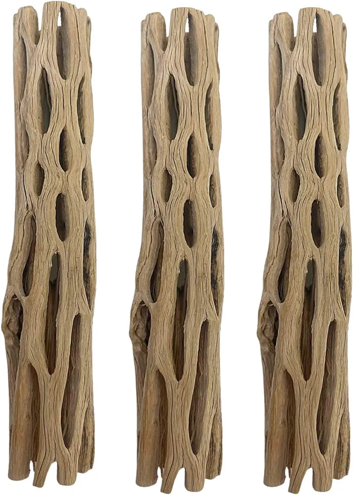 5 Natural Cholla Wood Pieces 5-6" inches for plecos, shrimp, snails etc.