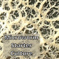 Microworms Starter Culture For Baby Fish Fry Food 8oz Jar