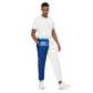 Sneaker Head Blue Split Unisex track pants