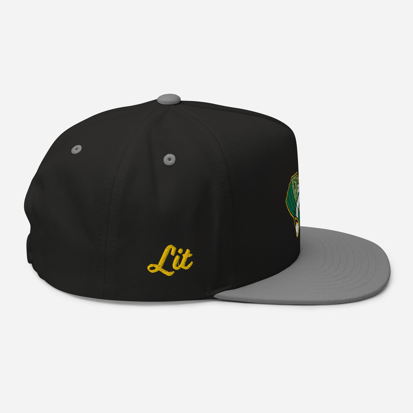 Lit and Rich Cash Smoke Flat Bill Cap Hat