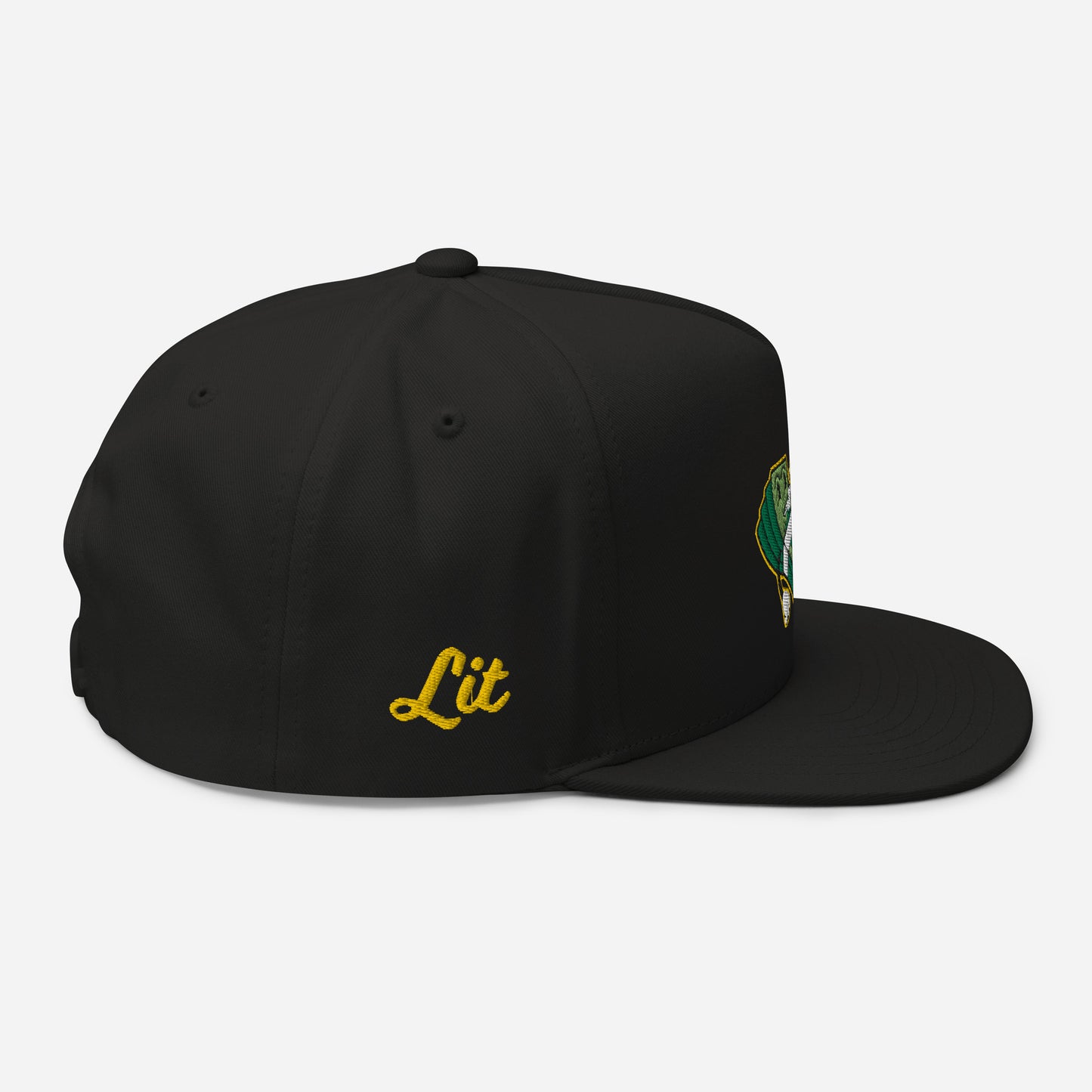 Lit and Rich Cash Smoke Flat Bill Cap Hat