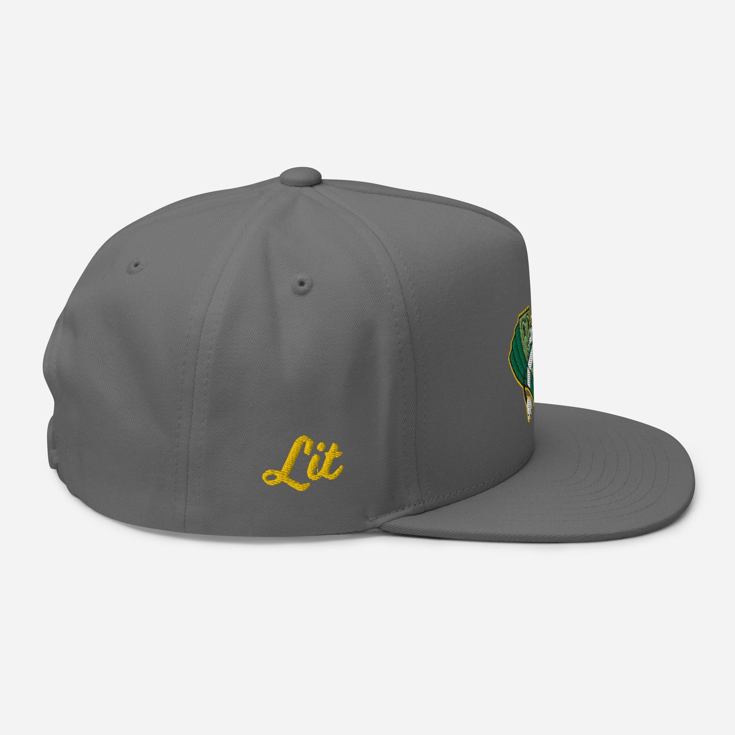 Lit and Rich Cash Smoke Flat Bill Cap Hat