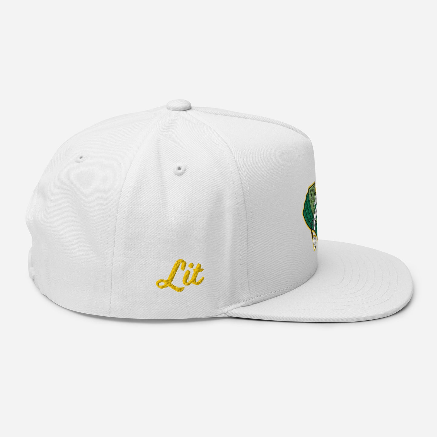 Lit and Rich Cash Smoke Flat Bill Cap Hat