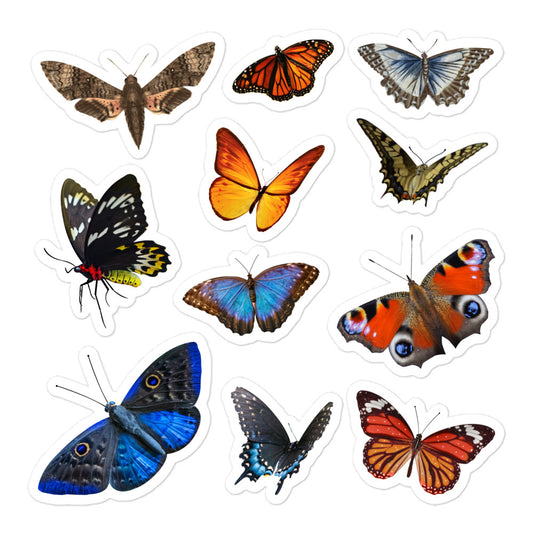 Realistic Butterflies Small stickers pack