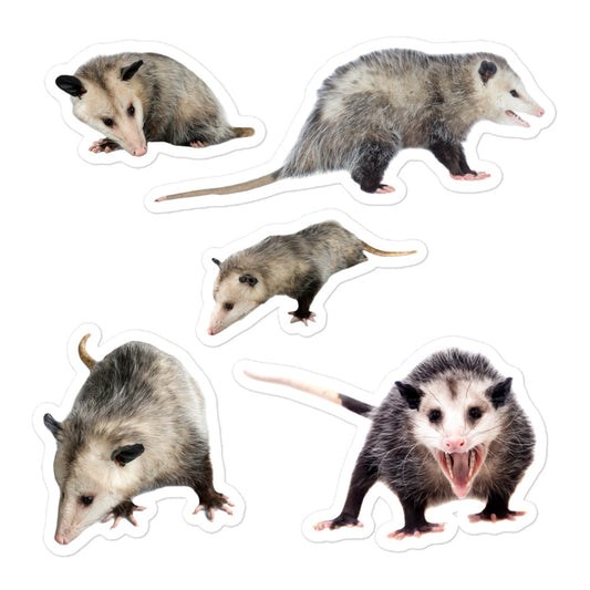 Realistic Possum small stickers pack