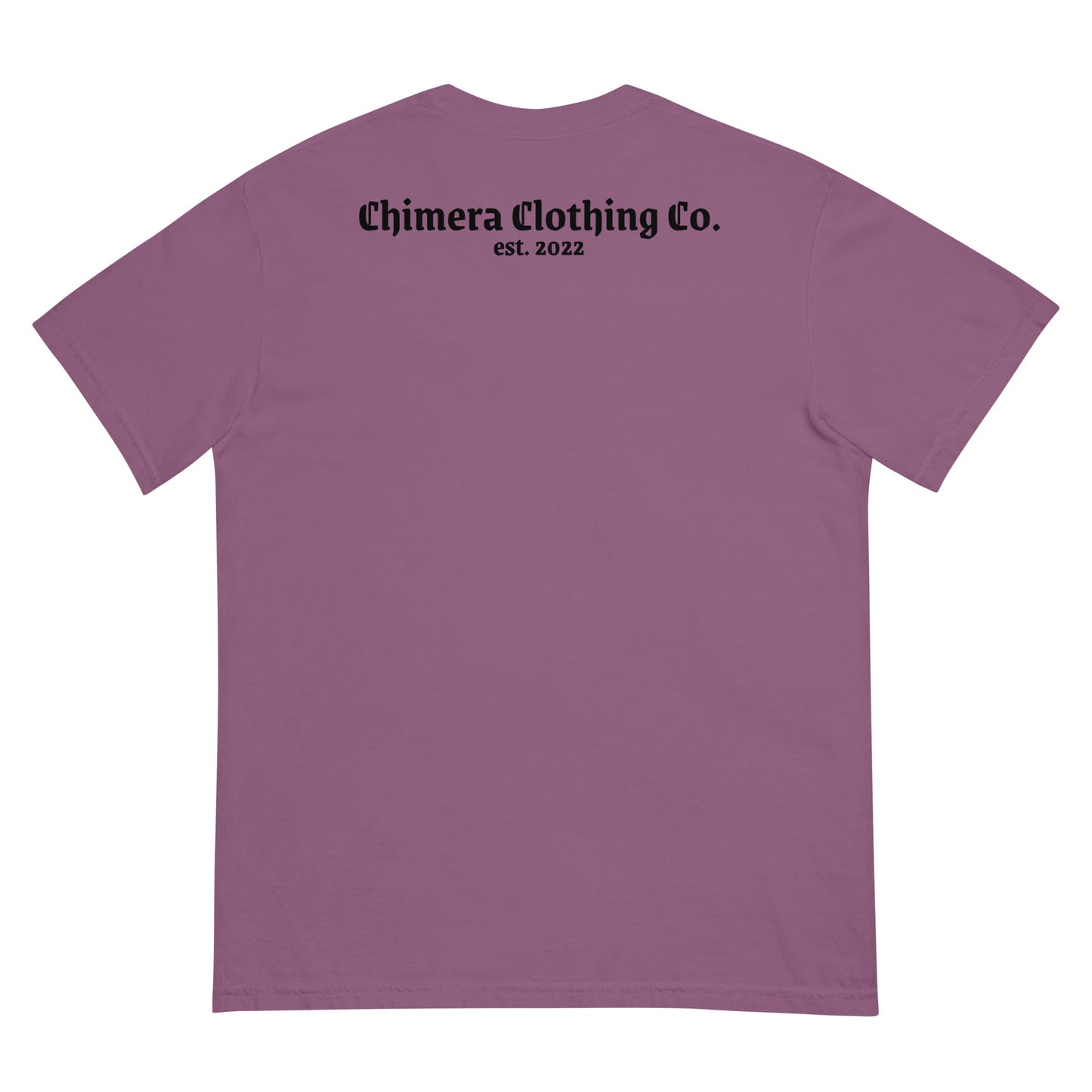 Lil' Lion Men’s garment-dyed heavyweight t-shirt