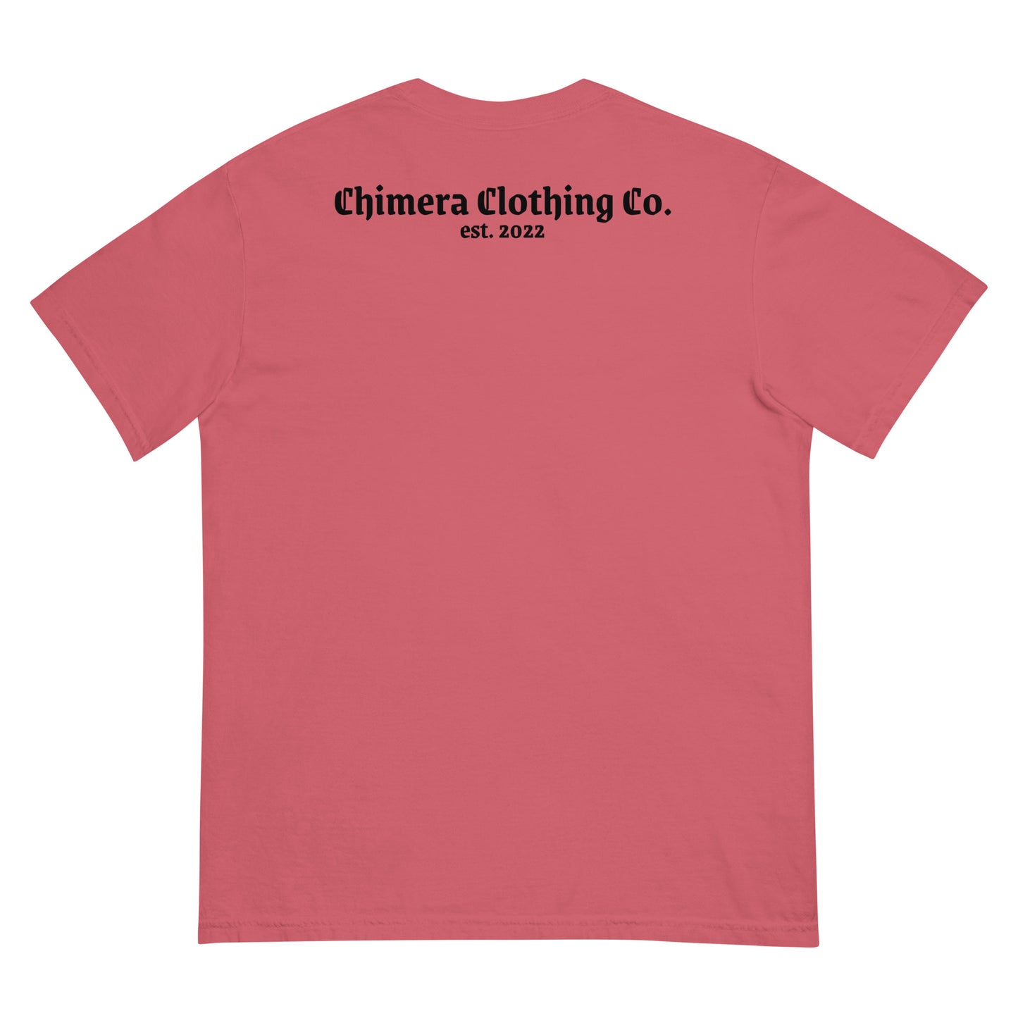 Lil' Lion Men’s garment-dyed heavyweight t-shirt