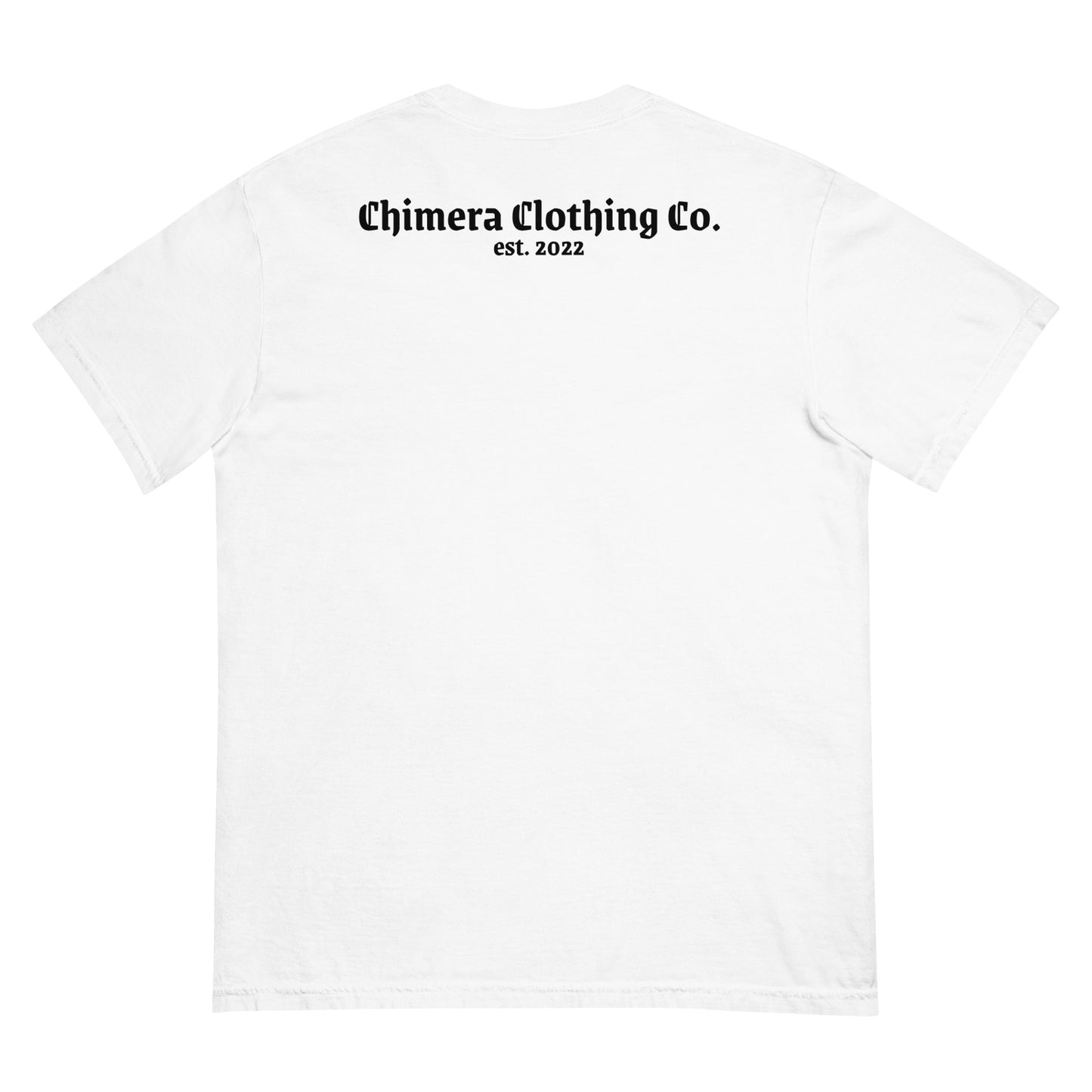 Lil' Lion Men’s garment-dyed heavyweight t-shirt