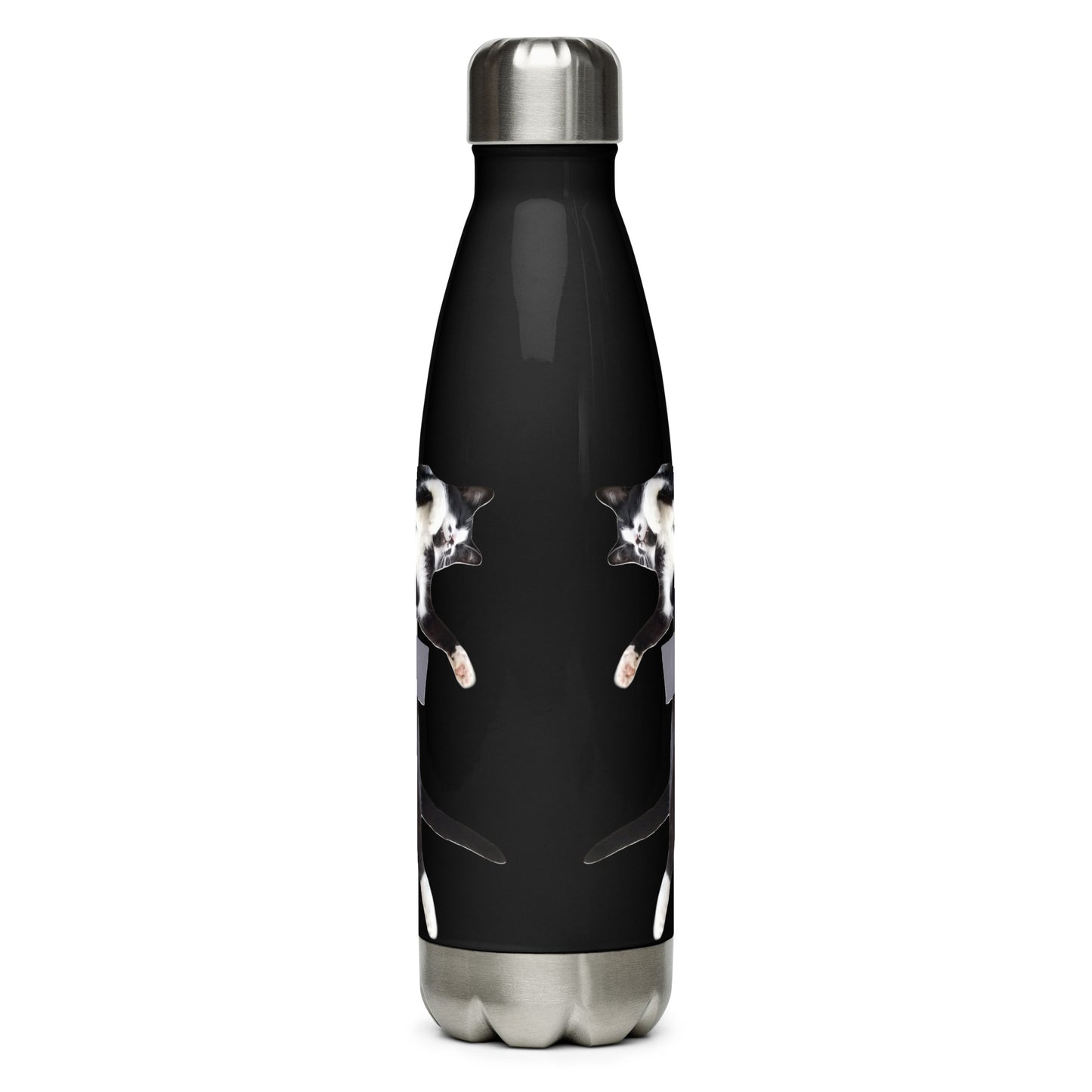 Duct Taped Cat Stainless Steel Water Bottle