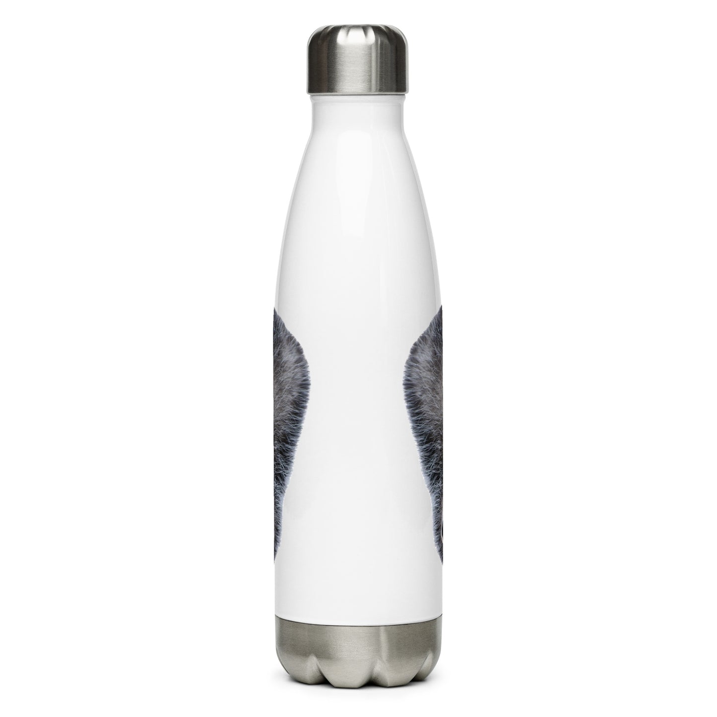 Dead Tired Opposum Stainless Steel Water Bottle