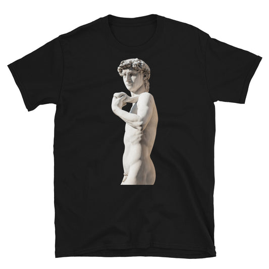 Michelangelo Statue of David Sculpture Short-Sleeve SOFT Unisex T-Shirt