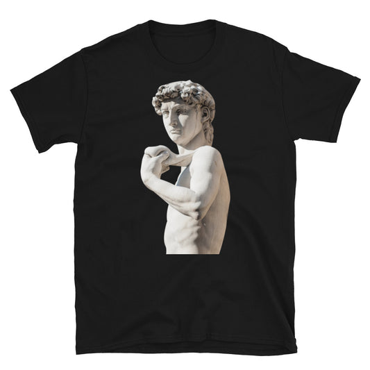 Close up Michelangelo Statue of David sculpture Short-Sleeve SOFT Unisex T-Shirt