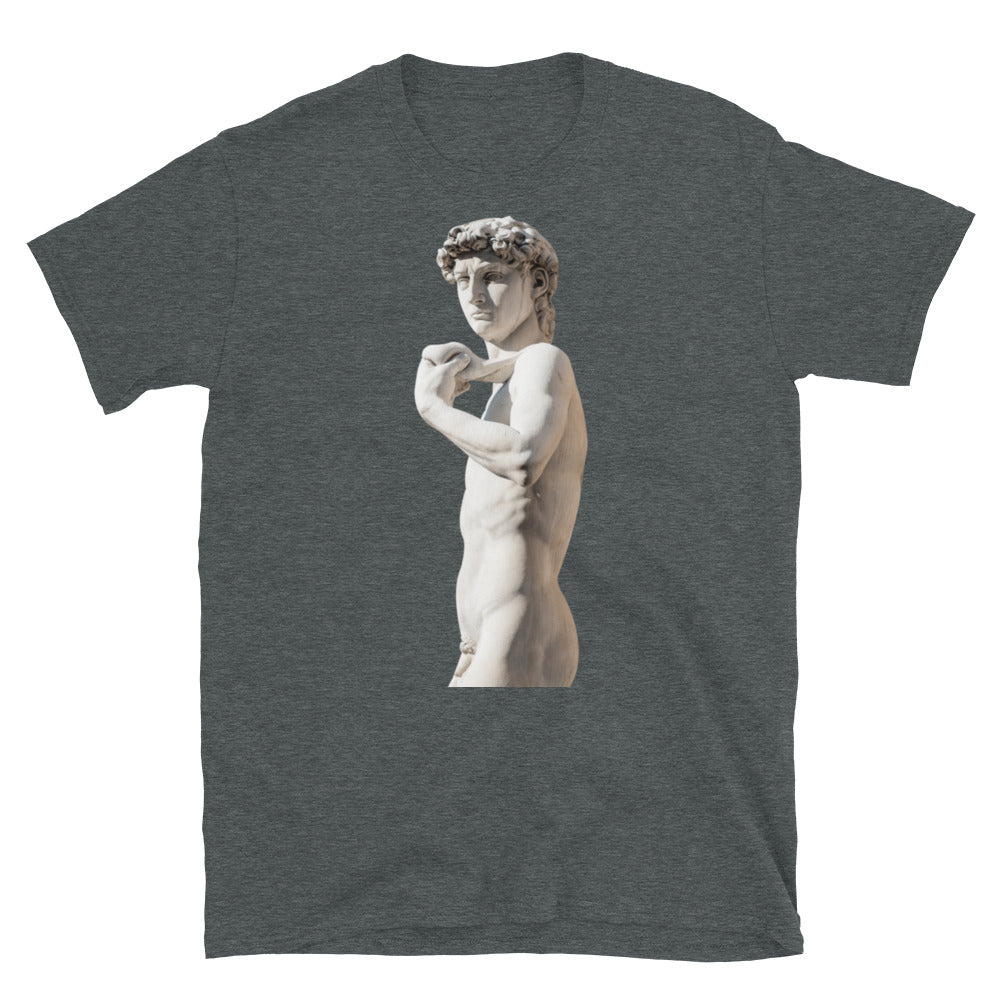 Michelangelo Statue of David Sculpture Short-Sleeve SOFT Unisex T-Shirt