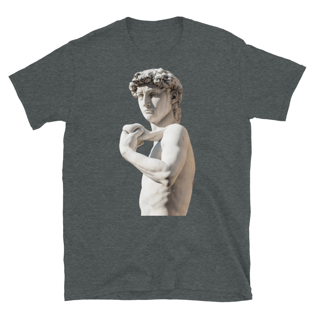 Close up Michelangelo Statue of David sculpture Short-Sleeve SOFT Unisex T-Shirt