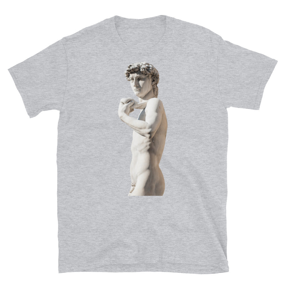 Michelangelo Statue of David Sculpture Short-Sleeve SOFT Unisex T-Shirt