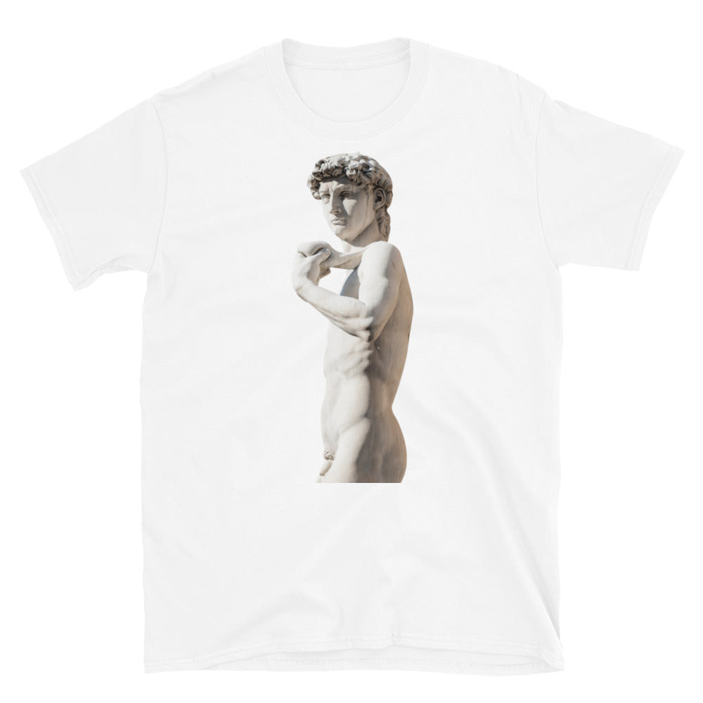 Michelangelo Statue of David Sculpture Short-Sleeve SOFT Unisex T-Shirt