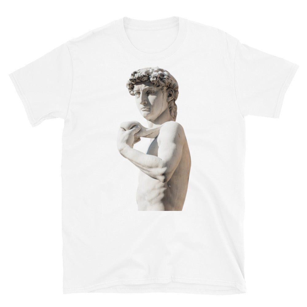 Close up Michelangelo Statue of David sculpture Short-Sleeve SOFT Unisex T-Shirt